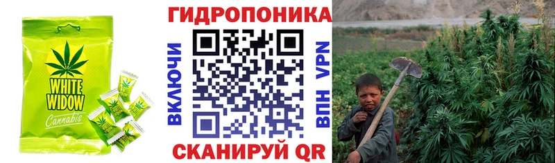 Еда ТГК марихуана  Губкин 