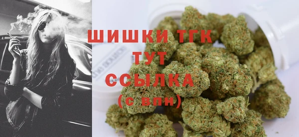 эйфоретик Верхний Тагил
