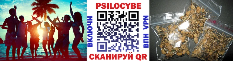 Галлюциногенные грибы прущие грибы  дарнет шоп  Губкин 